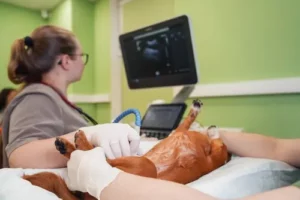 Abdominal Ultrasound & Radiology Services In Clinton Clintonvethospital (2)