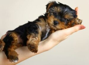 Blog Images 11 580x426