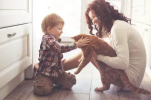 Cat With Toddler